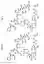 Fig. 09 - Macrocyclic lactone compounds and methods for their use