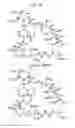 Fig. 45 - Macrocyclic lactone compounds and methods for their use