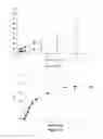 Fig. 07 - Denatured lactoglobulin and polyphenol coassemblies