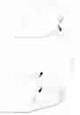 Fig. 02 - Method and installation for stunning poultry and the obtainable bleeded poultry