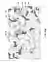 Fig. 35 - Carpet And Method Of Making Same