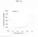 Fig. 09 - AEROGEL, COMPOSITION FOR PREPARING THE AEROGEL, AEROGEL COMPOSITE, AND METHOD OF MAKING THE SAME