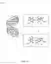 Fig. 02 - Method for detecting G-quadruplex, method for detecting G-quadruplex-forming DNA and method for determining telomerase activity