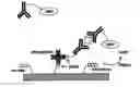 Fig. 01 - Nonseparation assay methods