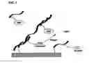 Fig. 07 - Nonseparation assay methods