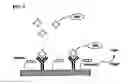 Fig. 08 - Nonseparation assay methods