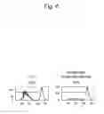 Fig. 07 - Fermentation product of cereal plant-derived material and immunomodulator