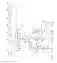Fig. 05 - Software-reconfigurable conduit and reaction chamber microfluidic arrangements for lab-on-a-chip and miniature chemical processing techologies
