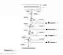 Fig. 47 - Software-reconfigurable conduit and reaction chamber microfluidic arrangements for lab-on-a-chip and miniature chemical processing techologies