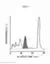 Fig. 06 - Blood analysis apparatus
