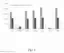 Fig. 08 - Human multipotent embryonic stem cell-like progenitor cells