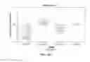Fig. 43 - GENE POSITIONING SYSTEM FOR PLASTIDIC TRANSFORMATION AND PRODUCTS THEREOF