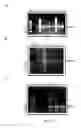 Fig. 49 - GENE POSITIONING SYSTEM FOR PLASTIDIC TRANSFORMATION AND PRODUCTS THEREOF