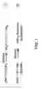 Fig. 02 - Liquid precursor for deposition of indium selenide and method of preparing the same