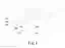 Fig. 02 - MANUFACTURING METHOD OF MULTI-LEVEL CELL NOR FLASH MEMORY