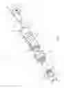 Fig. 02 - Connector having a continuity member