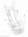Fig. 03 - Connector having a continuity member