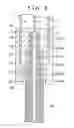 Fig. 04 - Bus bar and connector