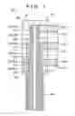 Fig. 08 - Bus bar and connector
