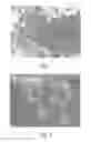 Fig. 02 - Coated Abrasive Products Containing Aggregates