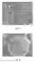 Fig. 04 - Coated Abrasive Products Containing Aggregates