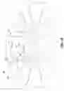 Fig. 17 - Transmitting sports and entertainment data to wireless hand held devices over a telecommunications network