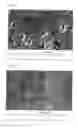 Fig. 02 - Transparent zirconia sintered body, method for producing same, and use of same