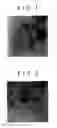 Fig. 02 - Exhaust gas purifying catalyst