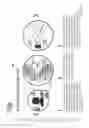 Fig. 03 - METHODS AND DEVICES FOR ASSESSING INFERTILITY AND/OR EGG QUALITY
