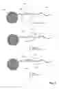 Fig. 09 - Particle Population and Methods of Making and Using