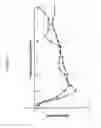 Fig. 08 - Fast-acting insulin formulation