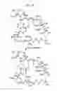 Fig. 45 - Macrocyclic lactone compounds and methods for their use
