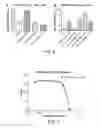 Fig. 08 - Polysialic acid derivatives, methods of production, and uses in enhancing cancer antigen production and targeting
