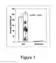 Fig. 02 - Compositions and methods for the treatment of disease associated with TRP-P8 expression