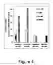 Fig. 07 - Compositions and methods for the treatment of disease associated with TRP-P8 expression