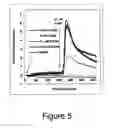 Fig. 08 - Compositions and methods for the treatment of disease associated with TRP-P8 expression
