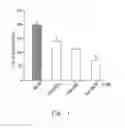 Fig. 02 - PHARMACEUTICAL COMPOSITIONS COMPRISING CHLOROPHENYL PIPERAZINE DERIVED COMPOUNDS AND USE OF THE COMPOUNDS IN PRODUCING MEDICAMENTS