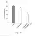 Fig. 06 - PHARMACEUTICAL COMPOSITIONS COMPRISING CHLOROPHENYL PIPERAZINE DERIVED COMPOUNDS AND USE OF THE COMPOUNDS IN PRODUCING MEDICAMENTS