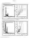 Fig. 02 - TOLUIDINE SULFONAMIDES AND THEIR USE