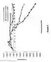 Fig. 07 - METHODS AND COMPOSITIONS OF MITOGEN-ACTIVATED PROTEIN KINASE (MAPK) PATHWAY INHIBITORS FOR TREATING PULMONARY FIBROSIS