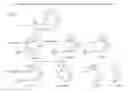 Fig. 01 - Macrocyclic compounds and methods of treatment