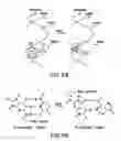 Fig. 07 - METHODS AND COMPOSITIONS RELATED TO MODIFIED GUANINE BASES FOR CONTROLLING OFF-TARGET EFFECTS IN RNA INTERFERENCE