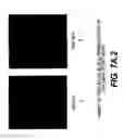 Fig. 11 - Use of triplex structure DNA in transferring nucleotide sequences