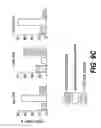 Fig. 17 - Use of triplex structure DNA in transferring nucleotide sequences