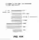 Fig. 27 - Use of triplex structure DNA in transferring nucleotide sequences