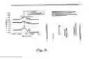 Fig. 05 - SELF-ASSEMBLING MONOMERS AND OLIGOMERS AS SURFACE-MODIFYING ENDGROUPS FOR POLYMERS