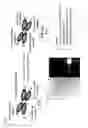 Fig. 02 - LH-type bispecific antibody