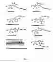 Fig. 02 - Modified nucleotides