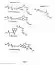 Fig. 03 - Modified nucleotides