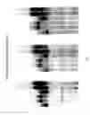 Fig. 06 - Modified nucleotides